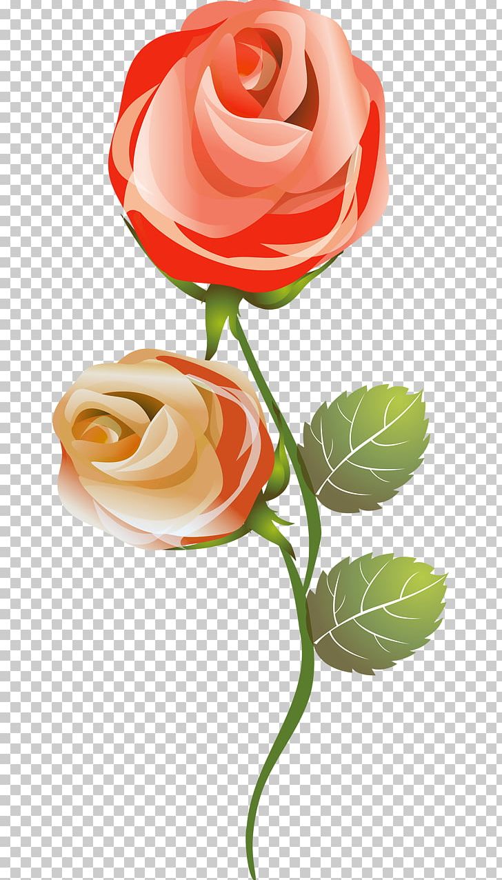 Garden Roses French Rose Flower Garden Cut Flowers PNG, Clipart, Artificial Flower, Beach Rose, Cut Flowers, Floral Design, Floristry Free PNG Download