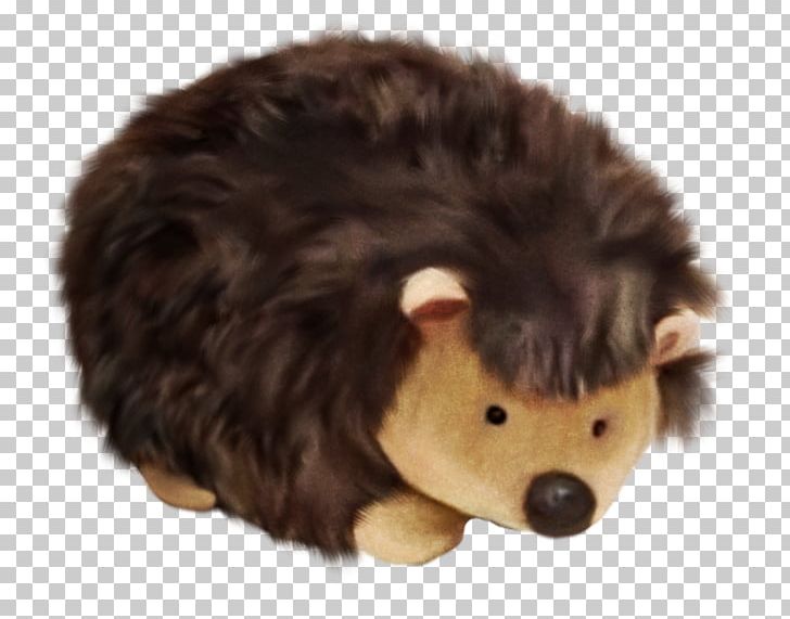 Hedgehog Pet PNG, Clipart, Adobe Illustrator, Animals, Brown, Brown Background, Brown Bear Free PNG Download