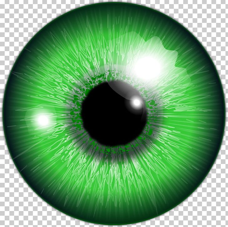 Iris Human Eye Green PNG, Clipart, Circle, Closeup, Color, Eye, Eye Color Free PNG Download