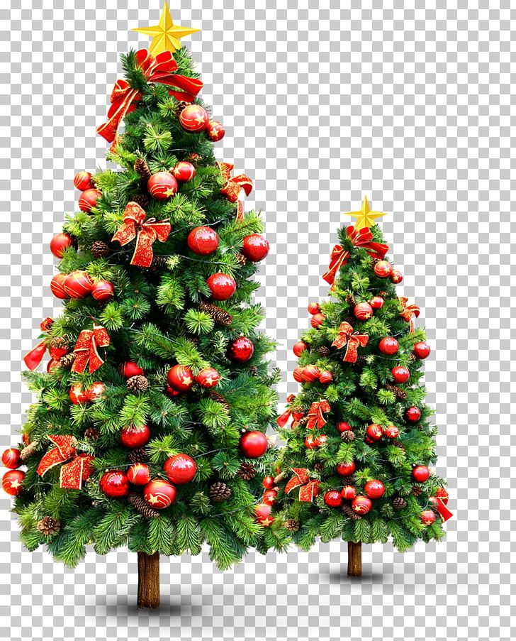 New Year Tree Christmas Tree PNG, Clipart, Ball, Christmas, Christmas Decoration, Christmas Frame, Christmas Lights Free PNG Download