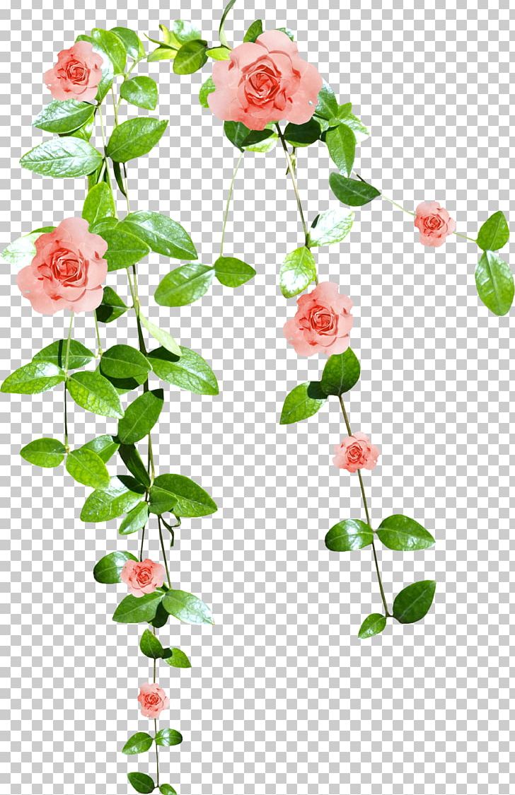 Pink Flowers Watercolor Painting PNG, Clipart, Branch, Cut Flowers, Flora, Floral Design, Floristry Free PNG Download