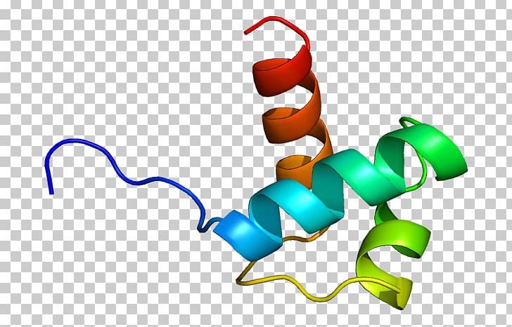 TERF1 PINX1 Chromosome 8 Telomerase Telomeric Repeat Binding Factor (NIMA-interacting) 1 PNG, Clipart, Area, Artwork, Bind, Dna, Dna Polymerase Free PNG Download