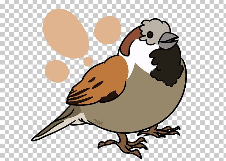 Beak Goose Cygnini Anatidae PNG, Clipart, Anatidae, Animals, Artwork, Beak, Bird Free PNG Download