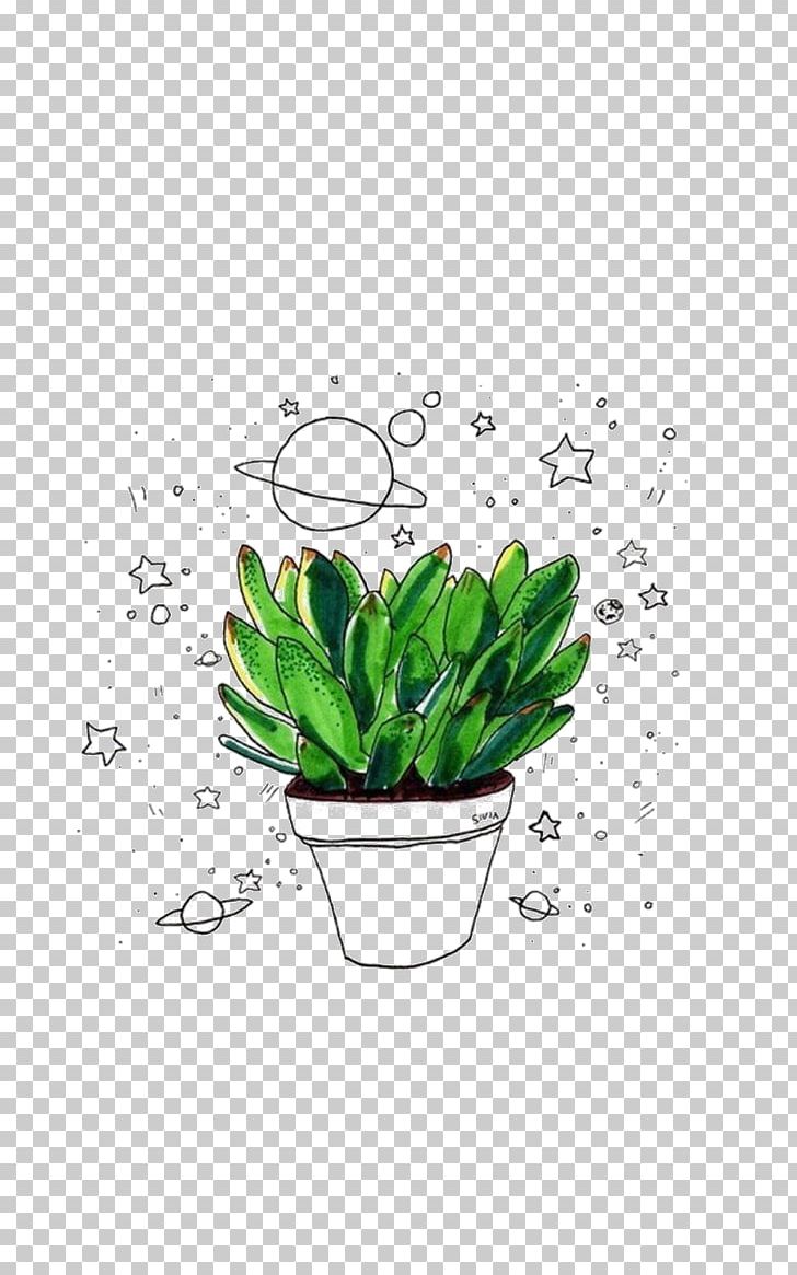 Cactaceae Drawing Succulent Plant PNG, Clipart, 8trackscom, Aesthetics, Art, Flower, Flowering Plant Free PNG Download