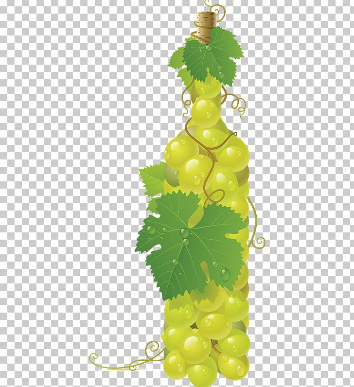 Common Grape Vine Wine Juice PNG, Clipart, Common Grape Vine, Flowering Plant, Food, Fruit, Grape Free PNG Download