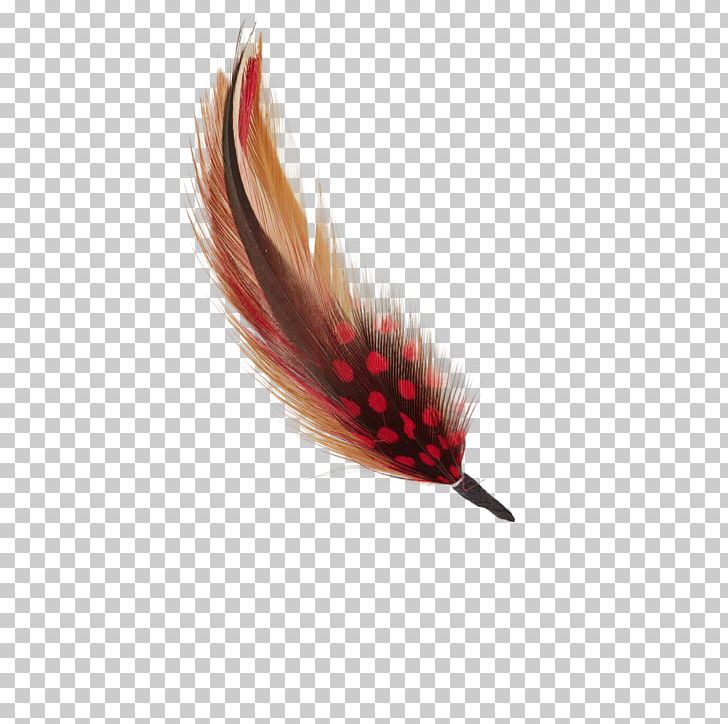 Feather Hatmaking Goorin Bros. PNG, Clipart, Animals, Blog, Bros, Feather, Goorin Bros Free PNG Download