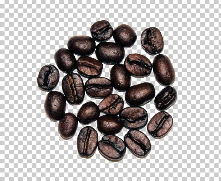 Jamaican Blue Mountain Coffee Cocoa Bean Commodity Seed PNG, Clipart, Bean, Chocolate Coated Peanut, Cocoa Bean, Coffee, Commodity Free PNG Download