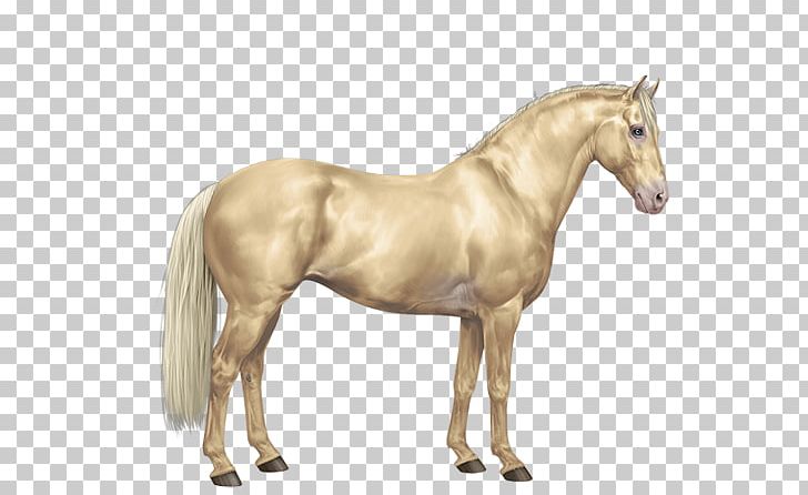 Mane Mustang American Paint Horse Arabian Horse Mare PNG, Clipart, American Paint Horse, Animal Figure, Arabian Horse, Buckskin, Colt Free PNG Download