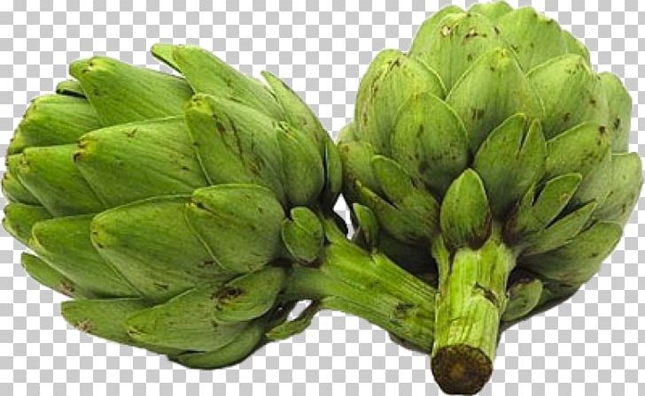 Artichoke Vegetable Food Herb PNG, Clipart, Artichoke, Artichoke Extract, Cynara, Dietary Fiber, Enginar Free PNG Download