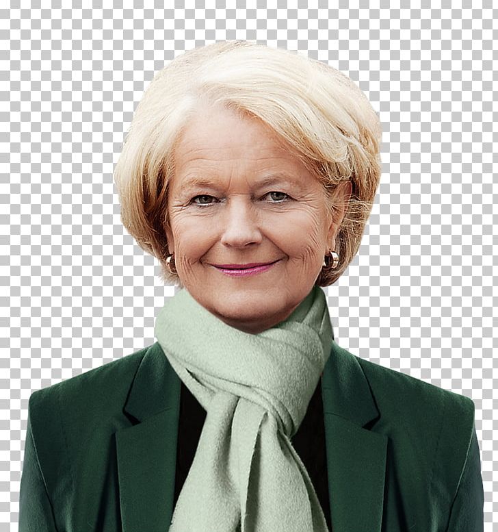 Elisabeth Motschmann Jerusalem Israeli–Palestinian Peace Process State Of Palestine Decision-making PNG, Clipart, Actor, Author, Chin, Decisionmaking, Donald Trump Free PNG Download