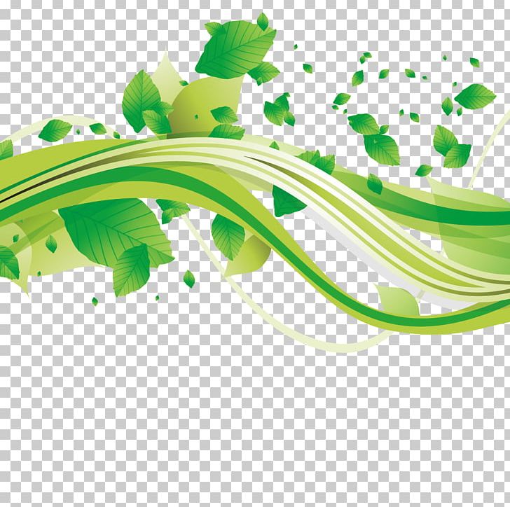 Green Euclidean PNG, Clipart, Abstract Lines, Art, Autumn Leaves, Creative, Curved Lines Free PNG Download