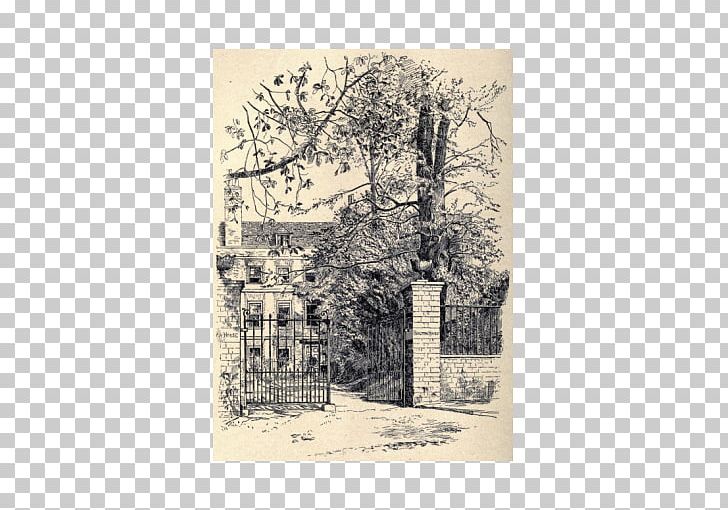 Kenwood House Fenton House Bolton House Hampstead Lane Windmill Hill PNG, Clipart, Bolton, Branch, Fenton House, Flower, Hampstead Free PNG Download