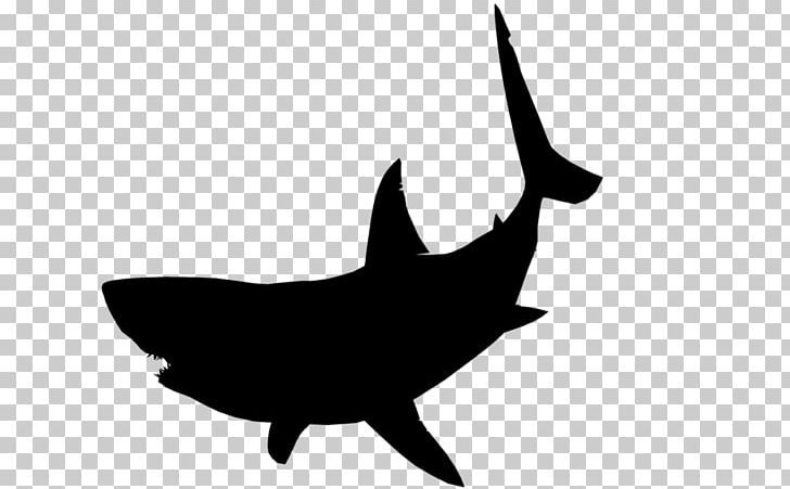 Great White Shark Silhouette PNG, Clipart, Animal, Animals, Black And White, Cartilaginous Fish, Chondrichthyes Free PNG Download