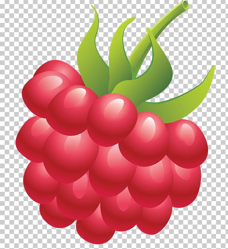 Red Raspberry Portable Network Graphics Berries PNG, Clipart, Berries, Berry, Blackberry, Cherry, Food Free PNG Download