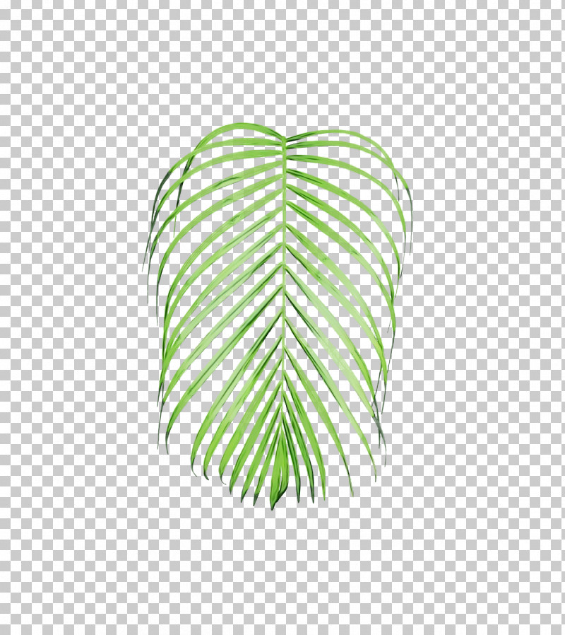 Leaf Green M-tree Line Meter PNG, Clipart, Biology, Green, Leaf, Line, Meter Free PNG Download