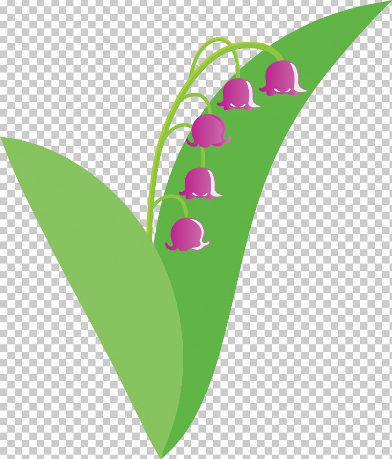 Lily Bell Flower PNG, Clipart, Anthurium, Flower, Green, Leaf, Lily Bell Free PNG Download