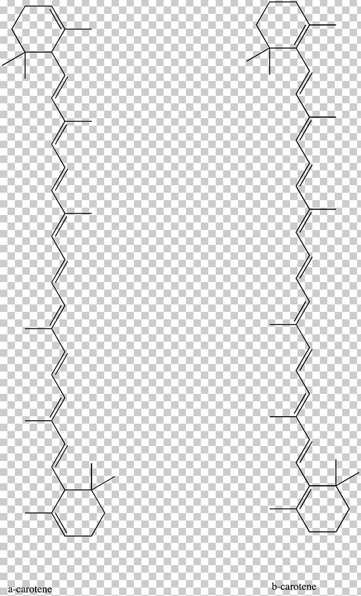Paper White Point Line Art Angle PNG, Clipart, Angle, Area, Black And White, Boil, Carrot Free PNG Download