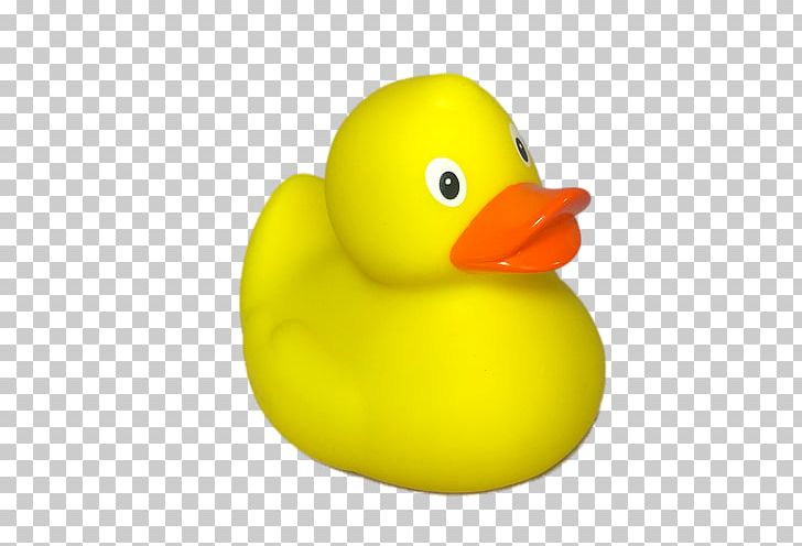 Rubber Duck Toy Yellow Natural Rubber PNG, Clipart, Animals, Bathtub, Beak, Bird, Blue Free PNG Download