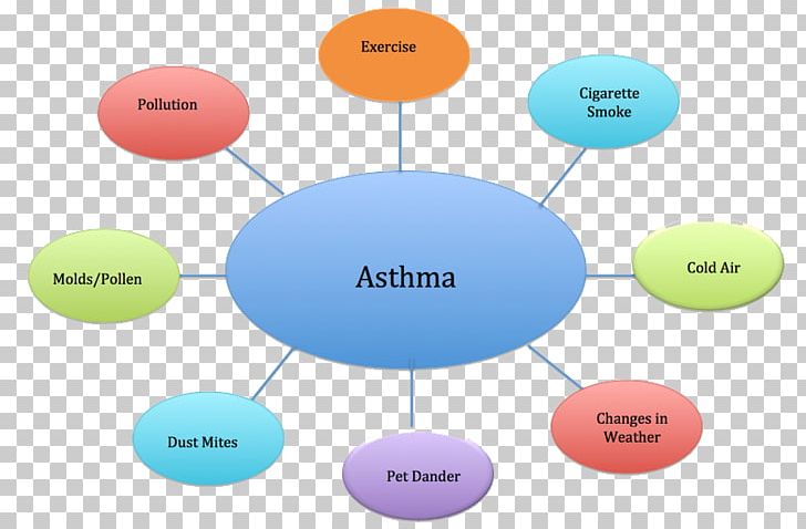 Asthma Symptom Therapy Inflammation Patton Pharmacy PNG, Clipart, Asthma, Brand, Circle, Communication, Diagram Free PNG Download