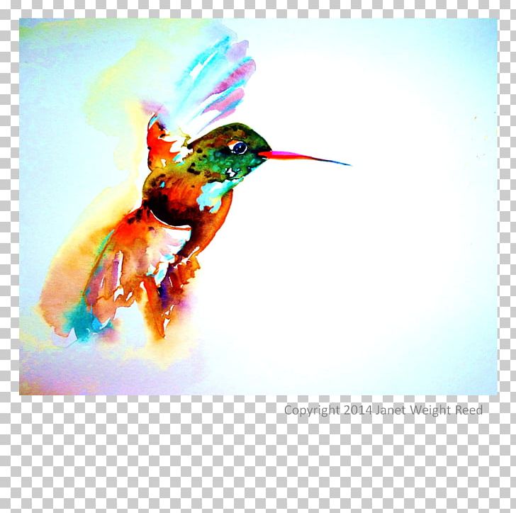 Ruby-throated Hummingbird Necklace Silver PNG, Clipart, Advertising, Animals, Beak, Bird, Clothing Accessories Free PNG Download