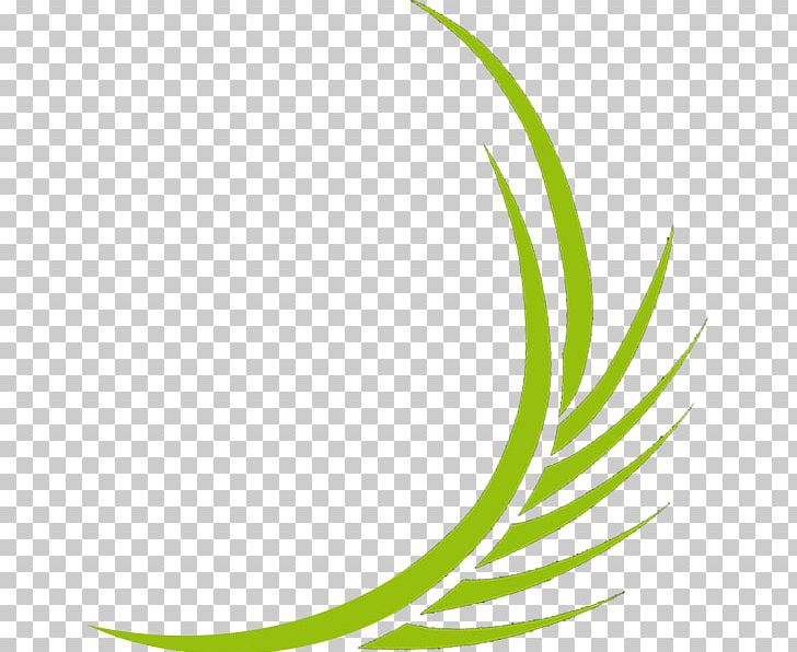 Gardening Horticulture Lawn Leaf PNG, Clipart, Area, Bespoke, Business, Circle, Customer Free PNG Download