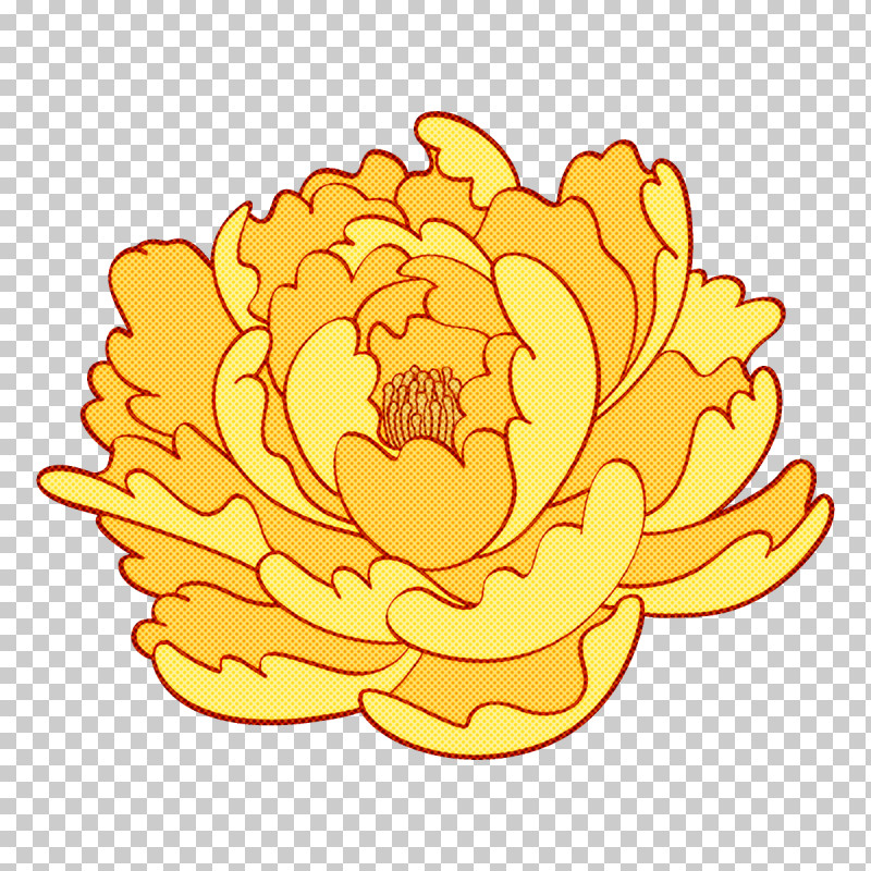 Yellow Flower Plant Petal PNG, Clipart, Flower, Petal, Plant, Yellow Free PNG Download