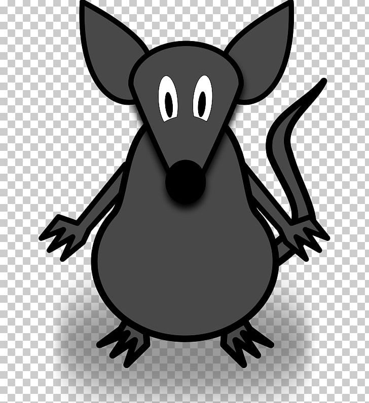 Computer Mouse Rat PNG, Clipart, Black And White, Carnivoran, Cartoon, Computer Icons, Dog Like Mammal Free PNG Download