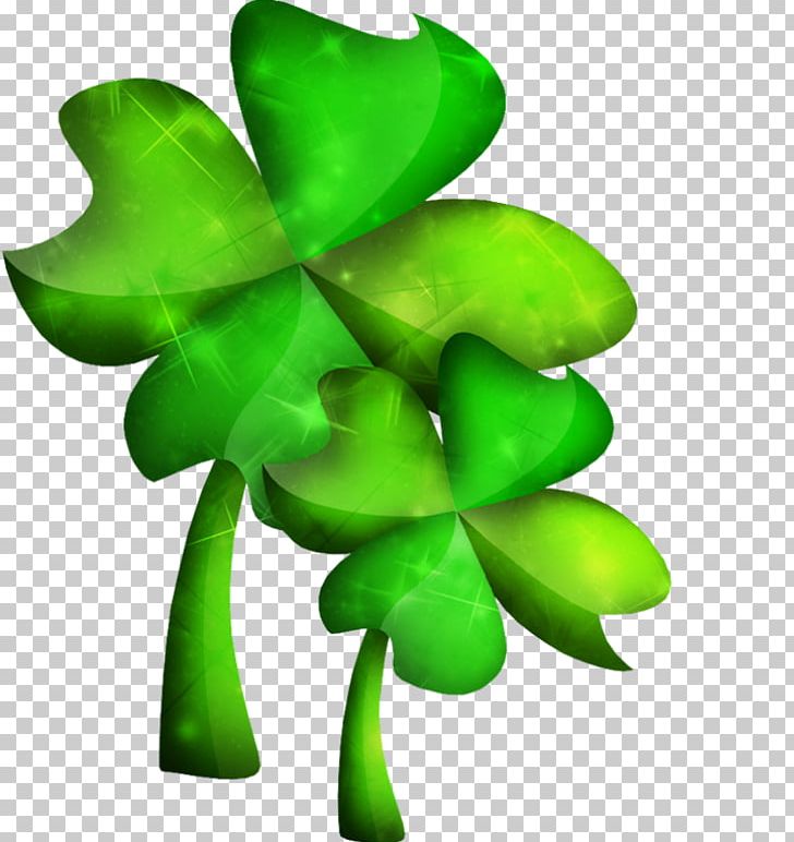 Leaf Shamrock Green Plant Stem Petal PNG, Clipart, Green, Leaf, Petal, Plant, Plant Stem Free PNG Download