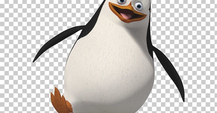 Penguin Skipper Madagascar PNG, Clipart, Animals, Beak, Bird, Computer Icons, Desktop Wallpaper Free PNG Download