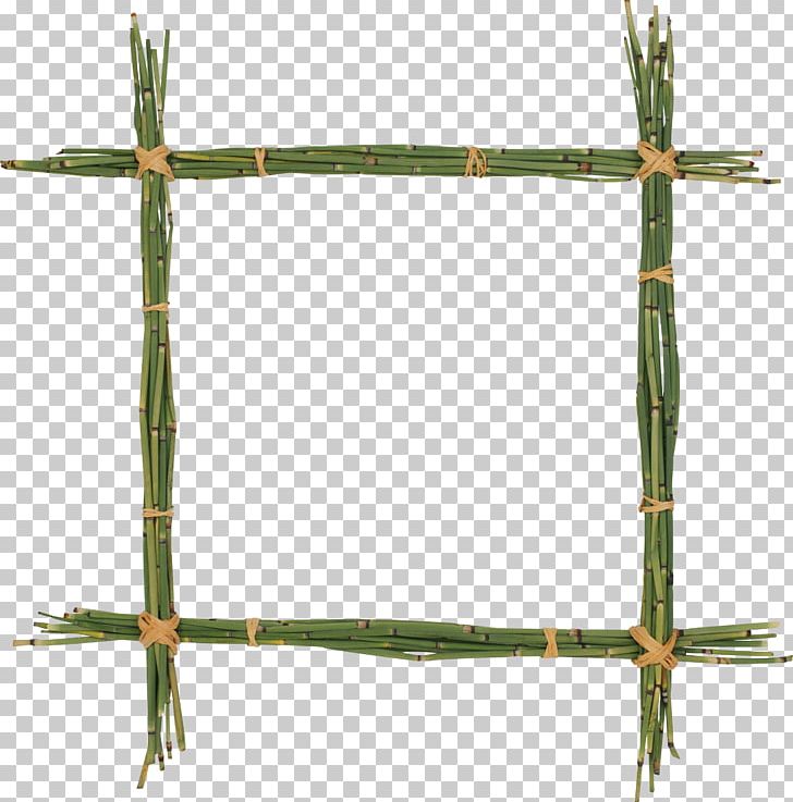 Respect Value Theory Toleration Society Truth PNG, Clipart, Bamboo, Branch, Community, Cross, Definition Free PNG Download