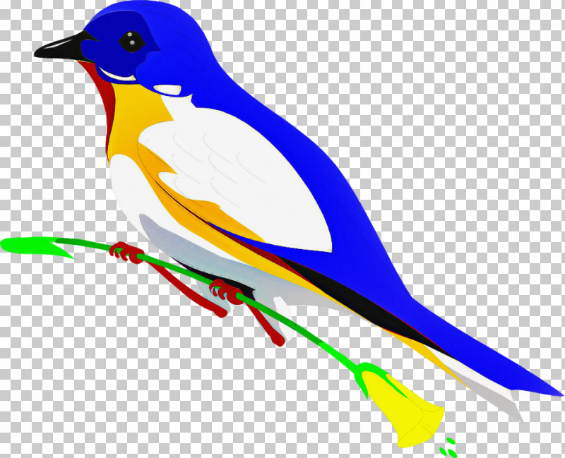 Bird Beak Songbird Perching Bird Finch PNG, Clipart, Beak, Bird, Finch, Perching Bird, Songbird Free PNG Download