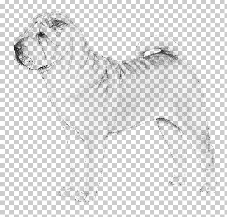 Shar Pei Dog Breed Chow Chow The Chinese Shar-Pei Puppy PNG, Clipart, Artwork, Big Cats, Black And White, Breed, Breed Group Dog Free PNG Download