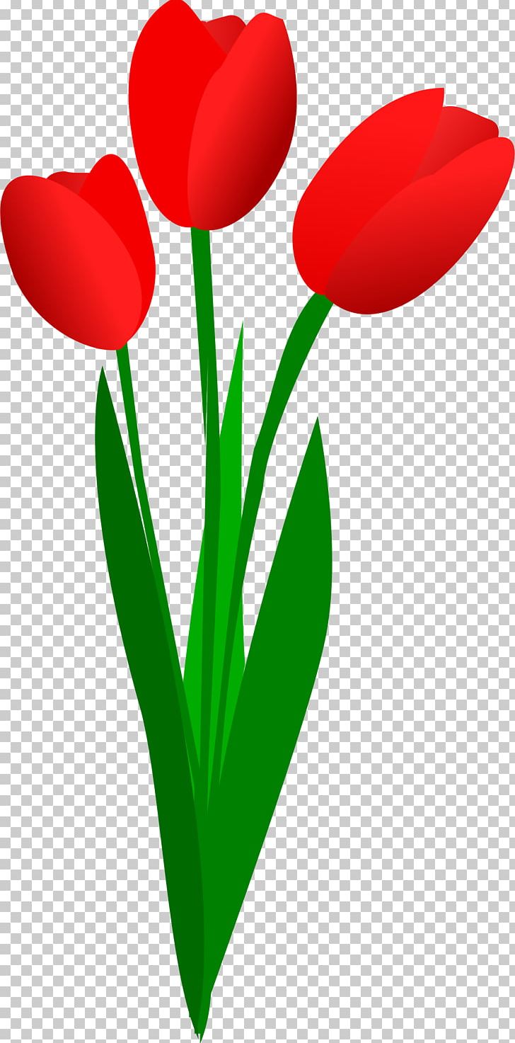 Tulip Flower Bouquet PNG, Clipart, Artwork, Blog, Cut Flowers, Flower, Flower Bouquet Free PNG Download