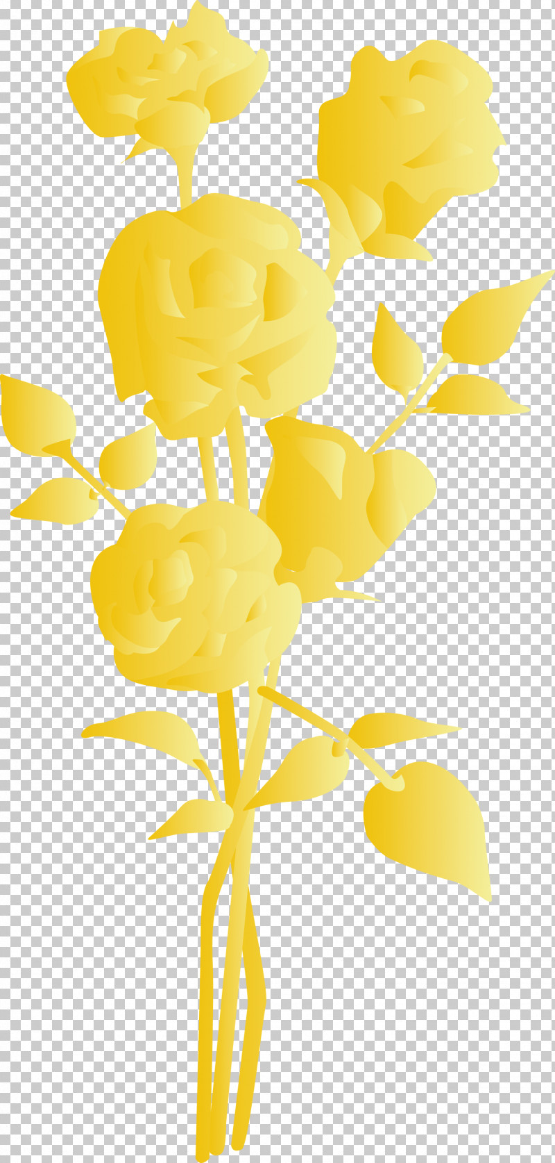 Yellow Cut Flowers Flower Plant Pedicel PNG, Clipart, Cut Flowers, Flower, Pedicel, Plant, Plant Stem Free PNG Download