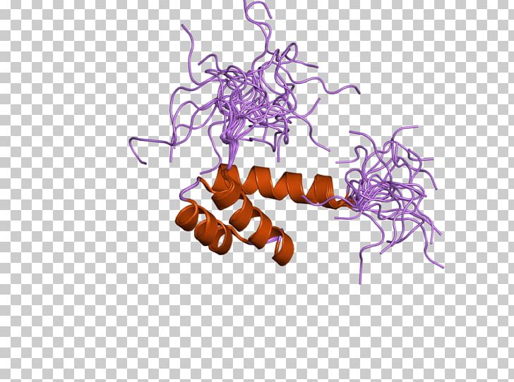 ATBF1 Insect Protein Gene PNG, Clipart, Art, Domain, Ebi, Ensembl, Factor Free PNG Download