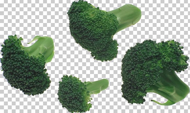 Broccoli Slaw PNG, Clipart, Broccoli, Broccoli Slaw, Computer Icons, Download, Fitfoods Free PNG Download