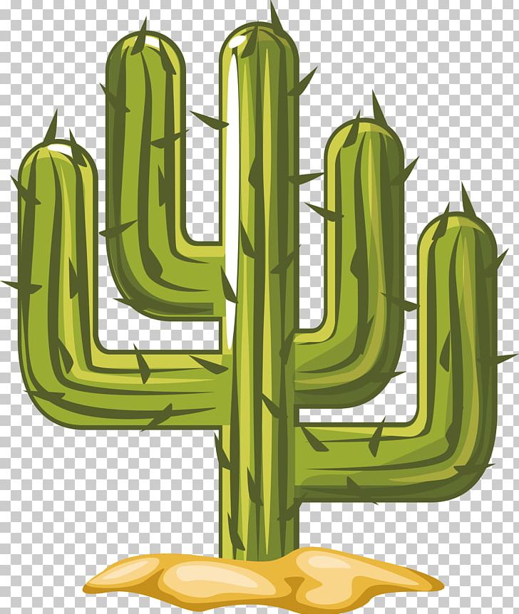 Cactaceae PNG, Clipart, Background Green, Black And White, Bonsai, Cactaceae, Cactus Free PNG Download