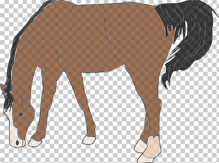 Horse PNG, Clipart, Animal, Animal Figure, Animals, Arm, Bit Free PNG Download