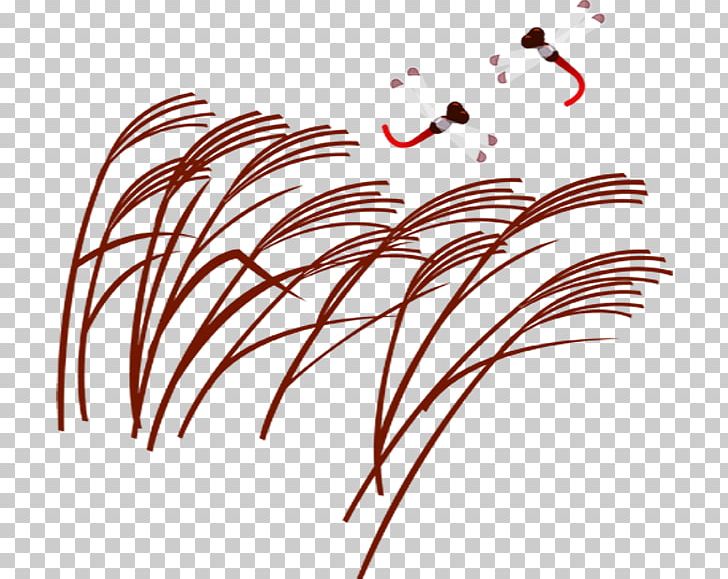 Common Reed Zongzi PNG, Clipart, Branch, Common Reed, Computer Icons, Download, Feather Free PNG Download