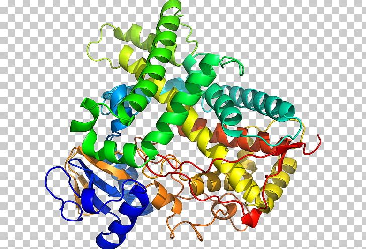 CYP1A2 Cytochrome P450 CYP2C19 Enzyme PNG, Clipart, Alu Element, Artwork, Body Jewelry, Cyp1a2, Cyp2c19 Free PNG Download