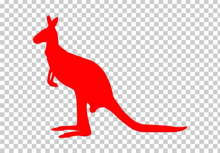 Macropodidae Kangaroo Wall Decal PNG, Clipart, Animal, Animal Figure, Animals, Area, Artwork Free PNG Download