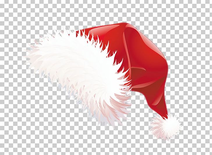 Santa Claus Christmas Santa Suit Hat PNG, Clipart, Bonnet, Christmas, Closeup, Desktop Wallpaper, Drawing Free PNG Download
