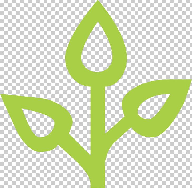Holy Basil Leaf Herb Thai Basil PNG, Clipart, Angle, Basil, Brand, Com, Grass Free PNG Download