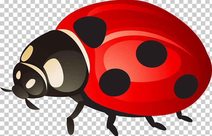 Ladybird Beetle PNG, Clipart, Beetle, Breath, Cartoon, Designer, Dot Free PNG Download