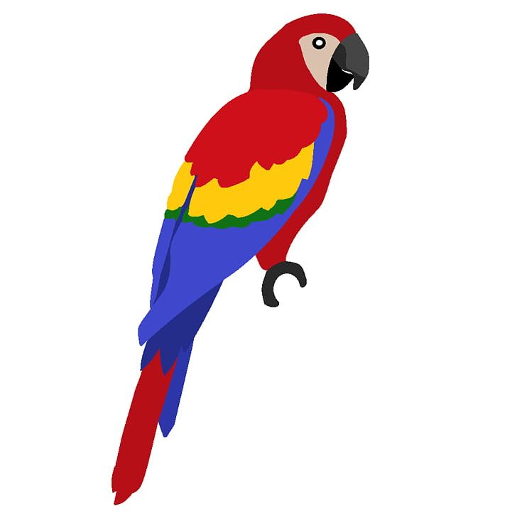 Parrot Scarlet Macaw Blue-and-yellow Macaw PNG, Clipart, Beak, Bird, Blueandyellow Macaw, Cartoon, Color Free PNG Download