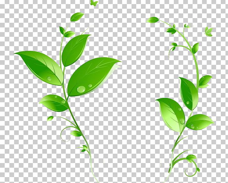Backlight LED Lamp PNG, Clipart, Background Green, Backlight, Baseboard, Branch, Business Man Free PNG Download