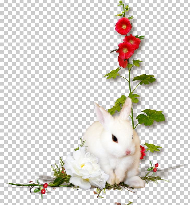 Easter Photography PNG, Clipart, Blog, Branch, Deviantart, Domestic Rabbit, Easter Free PNG Download