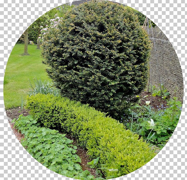 Hedge Vegetation Garden Landscape Biome PNG, Clipart, Biome, Evergreen, Garden, Grass, Groundcover Free PNG Download