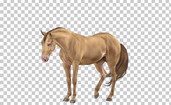 Mare Foal Stallion Akhal-Teke Thoroughbred PNG, Clipart, Akhalteke, Akhal Teke, Animal Figure, Breed, Bridle Free PNG Download