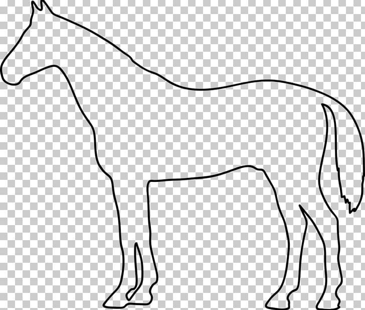 Mule Konik Foal Pony PNG, Clipart, Animal, Animal Figure, Black And White, Bridle, Caminando Free PNG Download